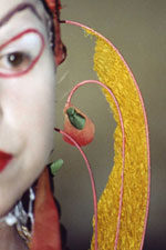 Der Feuervogel Detail 4